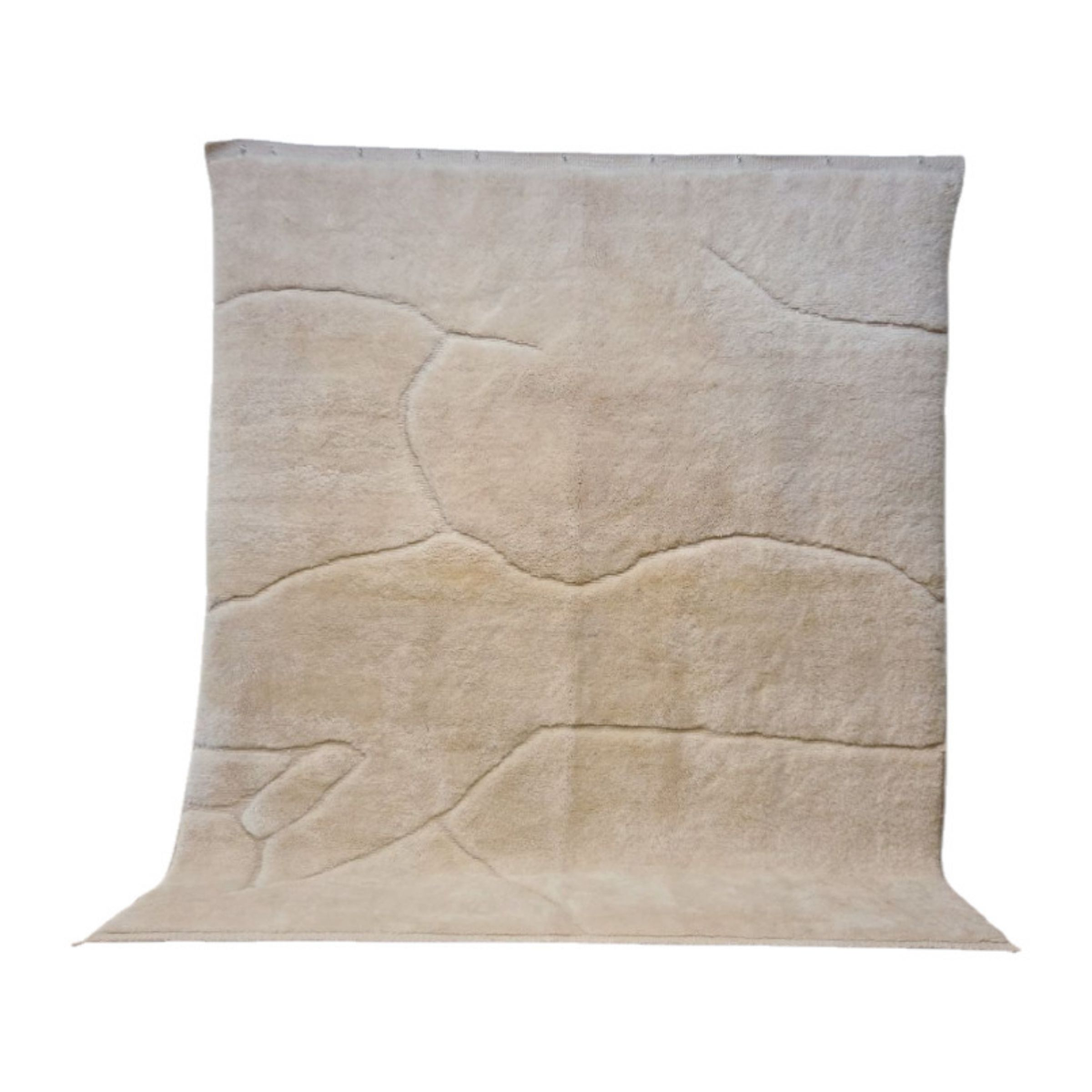 Tapis Beni Mrirt (3) 300×250 cm